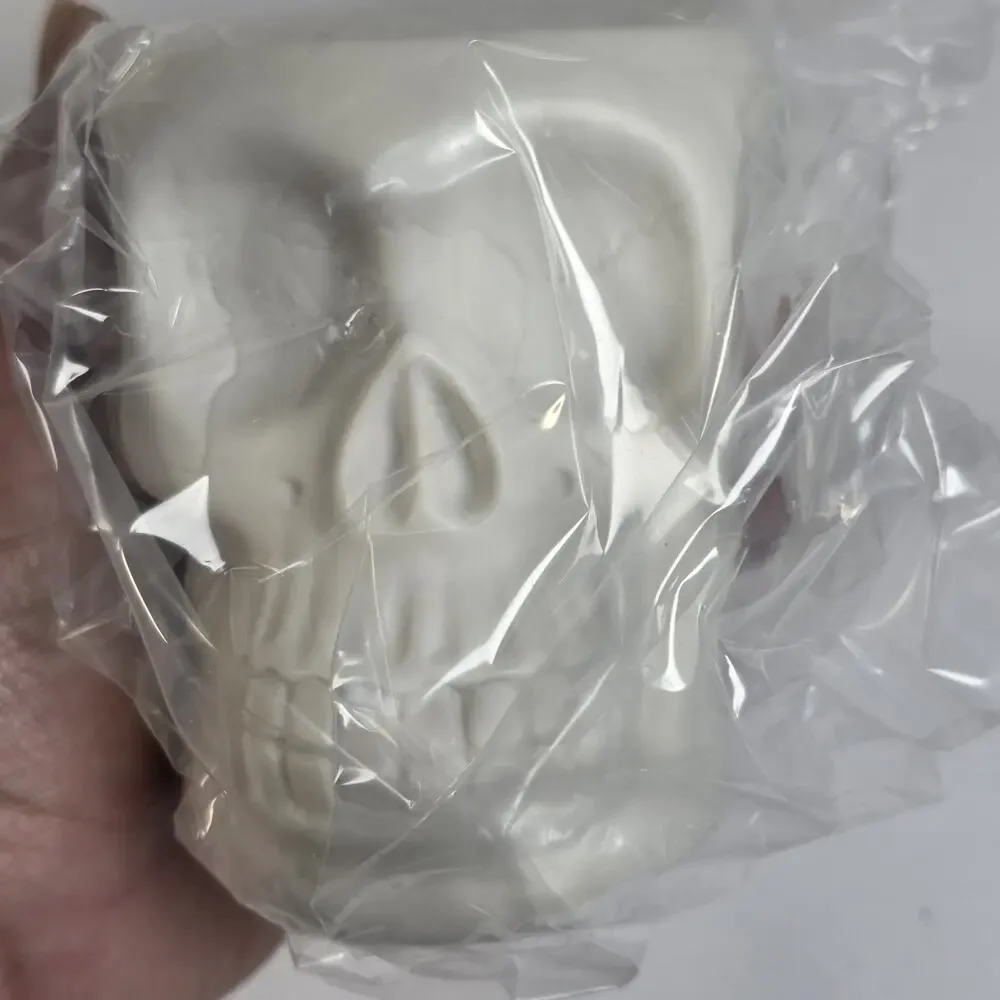 Scentsy Dearly Departed Skull Mini Warmer Halloween Retired New Open Box